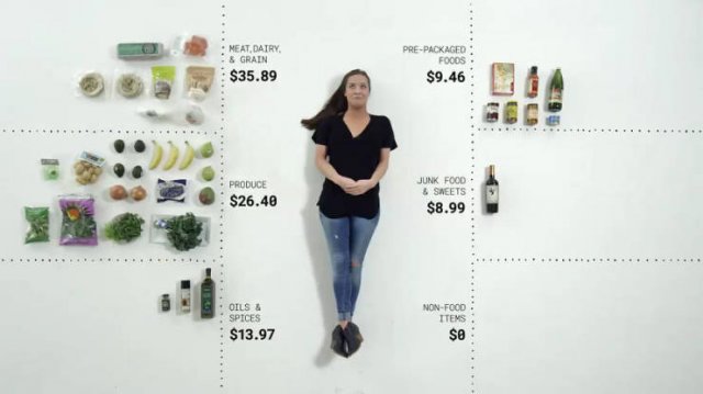 Groceries People Buy For $100 (23 pics)
