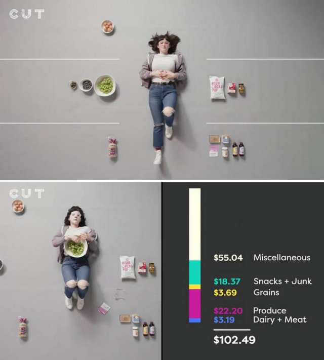Groceries People Buy For $100 (23 pics)