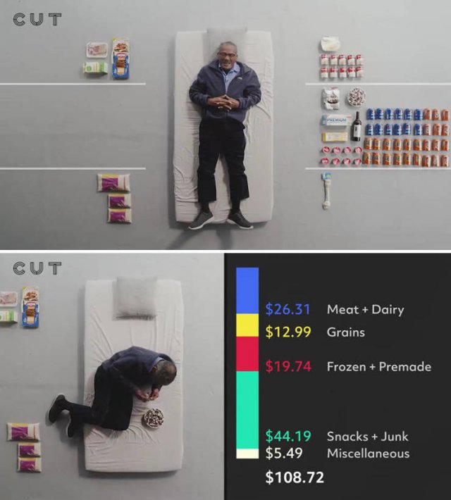 Groceries People Buy For $100 (23 pics)