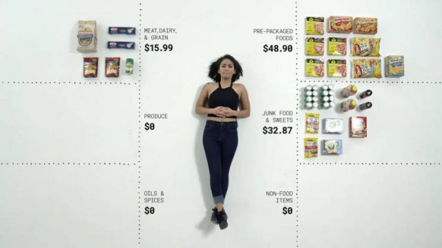 Groceries People Buy For $100 (23 pics)
