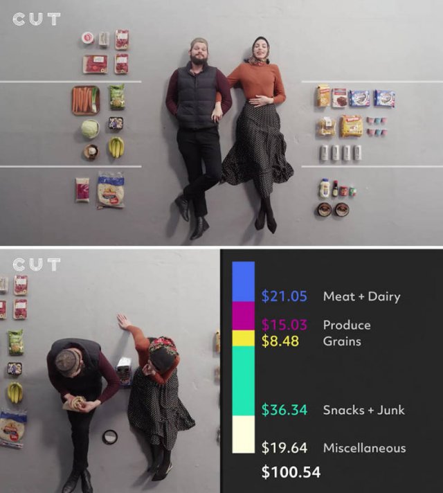 Groceries People Buy For $100 (23 pics)