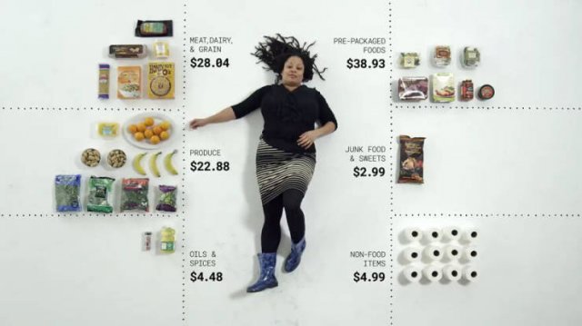 Groceries People Buy For $100 (23 pics)