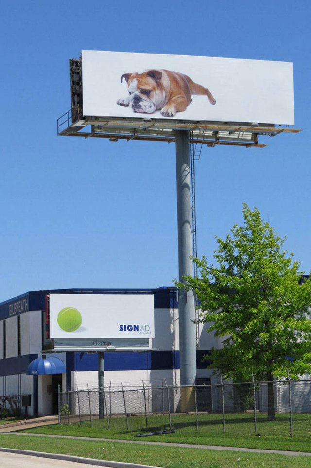 Unusual Billboard Designs (50 pics)