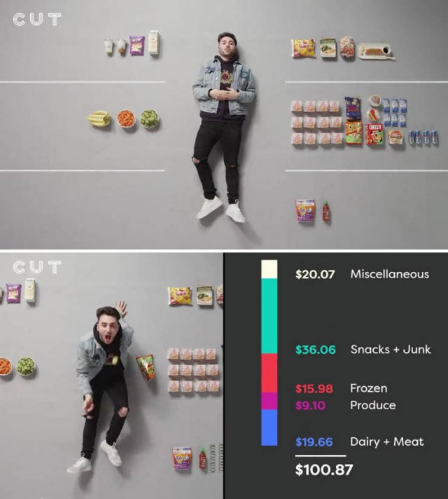 Groceries People Buy For $100 (23 pics)