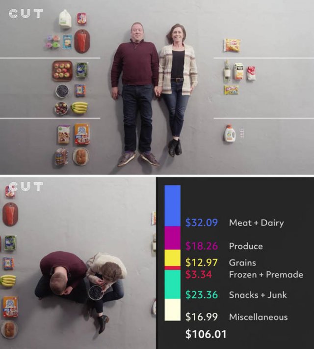 Groceries People Buy For $100 (23 pics)