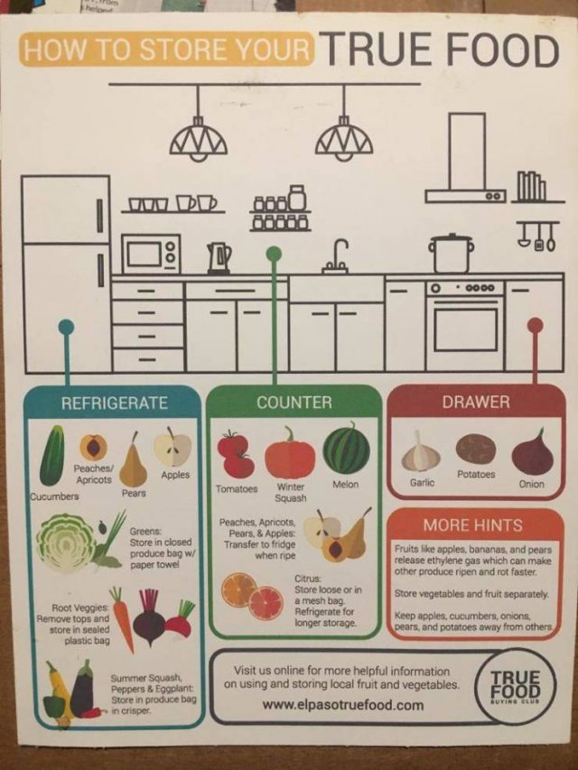 Useful Guides (15 pics)