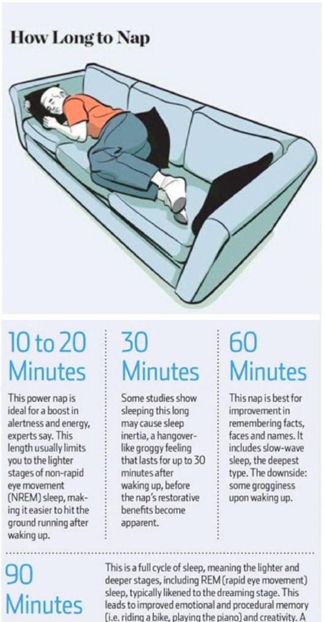 Useful Guides (15 pics)