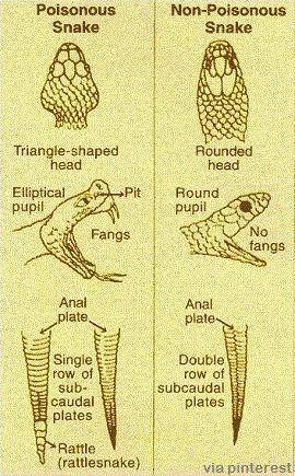 Useful Guides (15 pics)