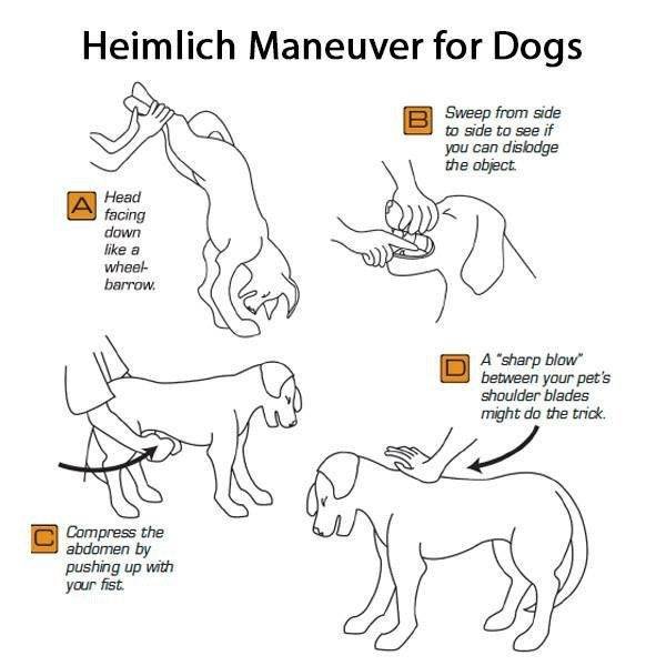 Useful Guides (15 pics)