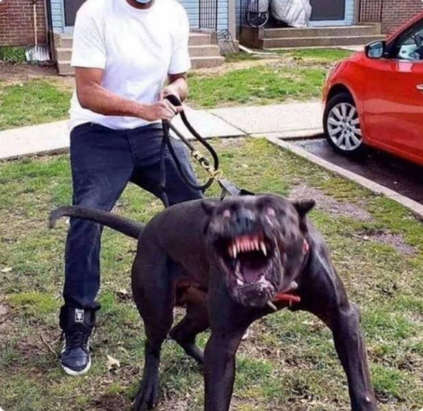 Acid Picdump 2 (86 pics)