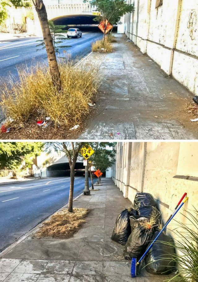 People Who Clean And Safe Our Planet (20 pics)