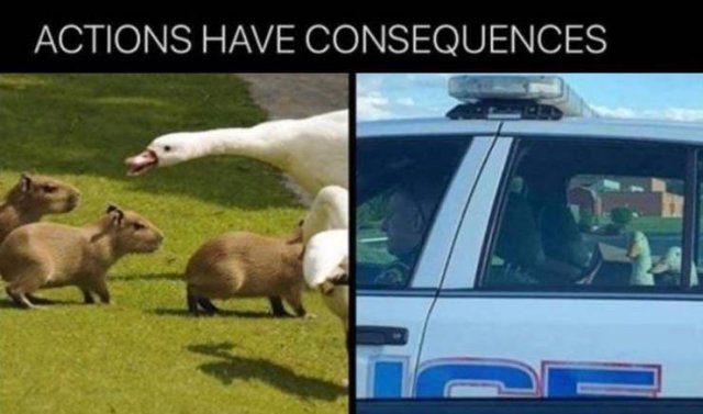 Random Funny Memes (83 pics)