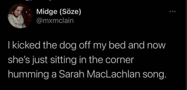 Funny Tweets (41 pics)