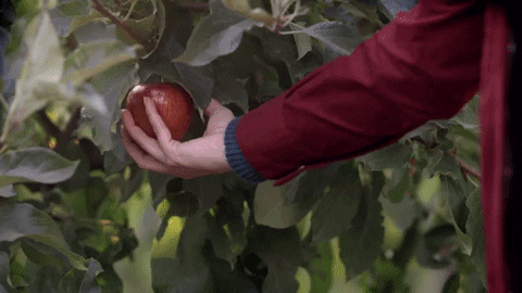People Tell About Aromas They Remember From Their Childhood (16 gifs)
