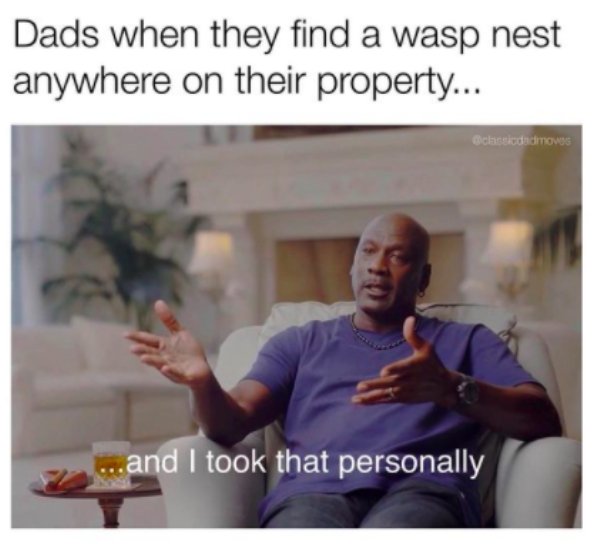 Dad Memes (31 pics)