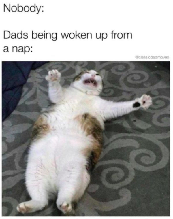 Dad Memes (31 pics)