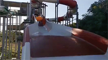 Acid Gifdump, January 15 (25 gifs)