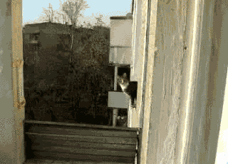 Acid Gifdump, January 15 (25 gifs)