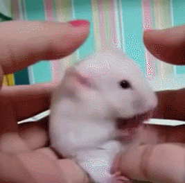 Acid Gifdump, January 15 (25 gifs)