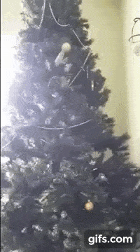 Acid Gifdump, January 15 (25 gifs)