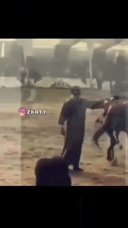 Acid Gifdump, January 15 (25 gifs)