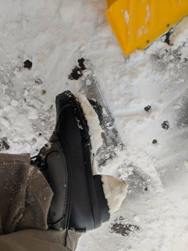 Almost Nailed It (47 pics) Almost Nailed It (47 pics)