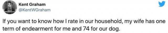 Married Life Tweets (25 pics)