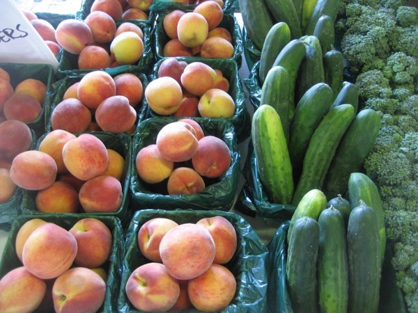 Good Food Bank Donation Guides (24 pics)