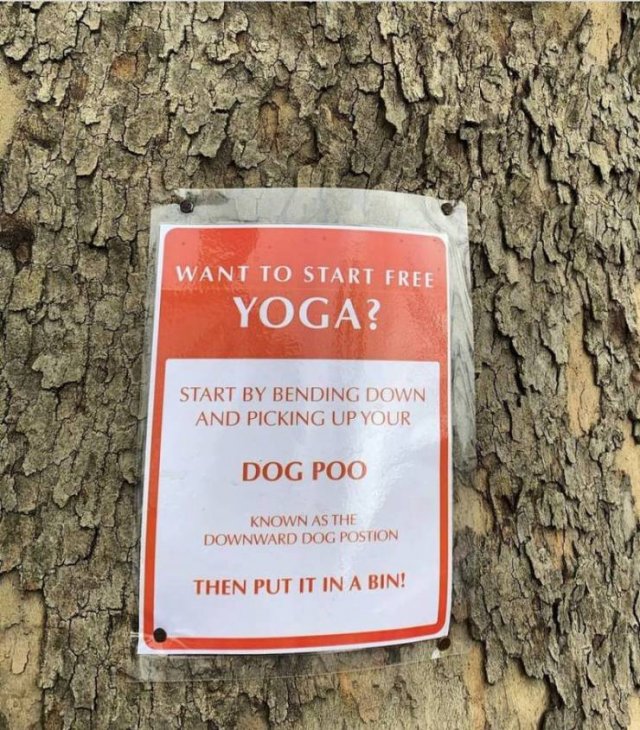 This Is Passive Aggressive (19 pics)