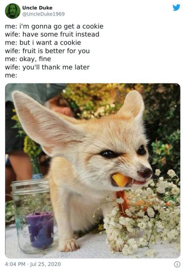 Married Life Tweets (47 pics)