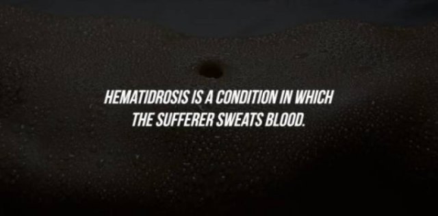 Intriguing Facts (15 pics)