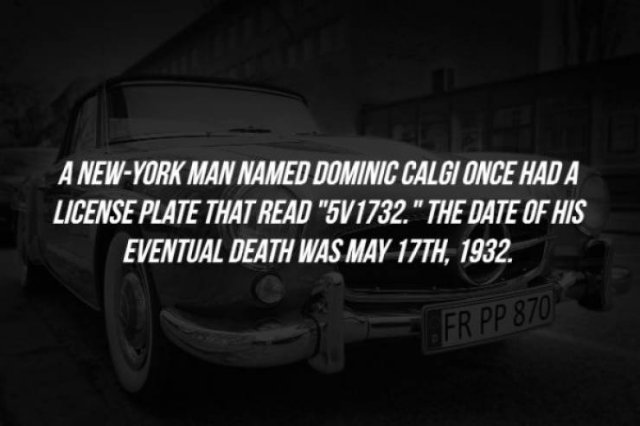 Intriguing Facts (15 pics)