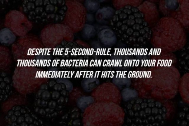 Intriguing Facts (15 pics)