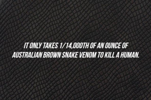 Intriguing Facts (15 pics)