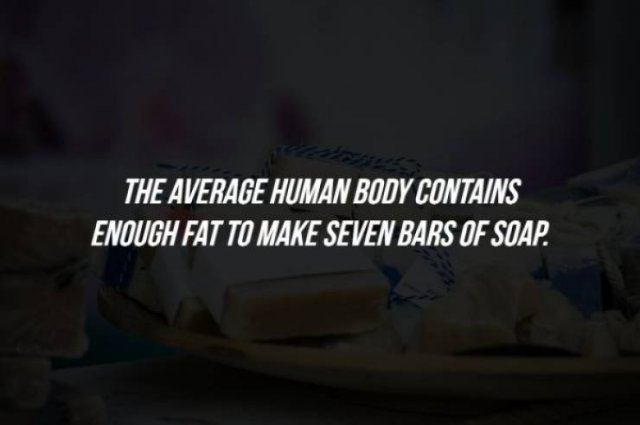 Intriguing Facts (15 pics)