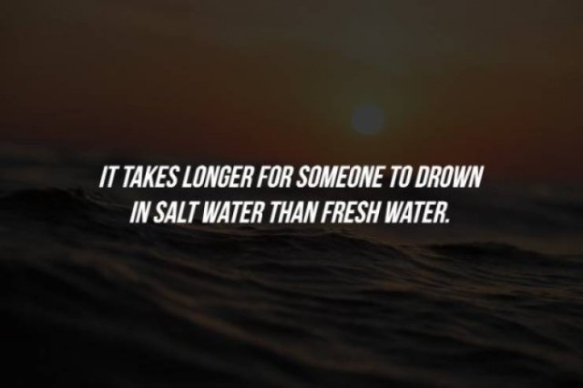 Intriguing Facts (15 pics)
