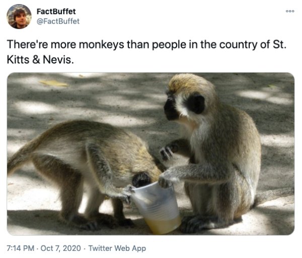 Interesting Facts Around The World (29 pics)