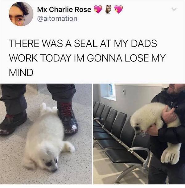 Work Memes And Pictures (36 pics)