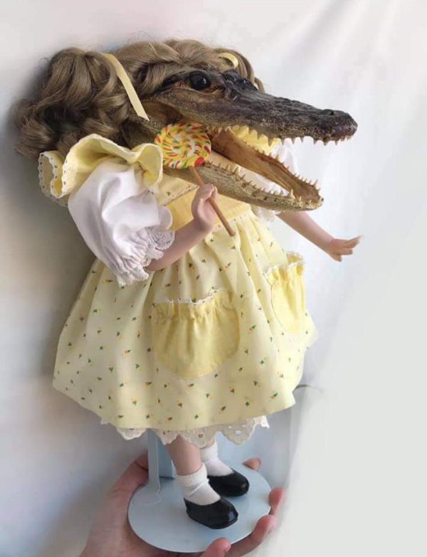 OMG Pictures (29 pics)