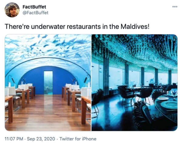 Interesting Facts Around The World (29 pics)