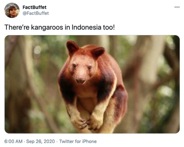 Interesting Facts Around The World (29 pics)