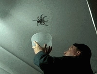 Acid Gifdump, January 18 (25 gifs)