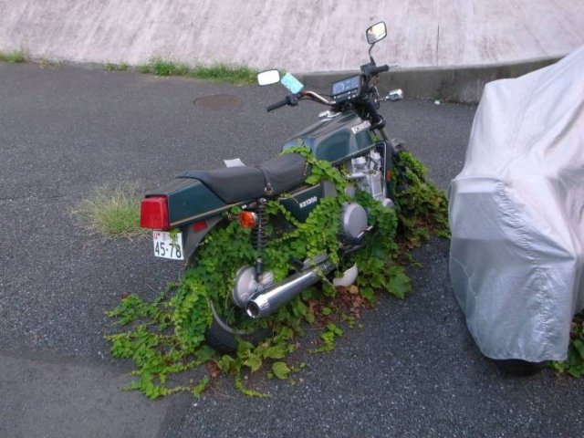 Acid Picdump 2 (90 pics)