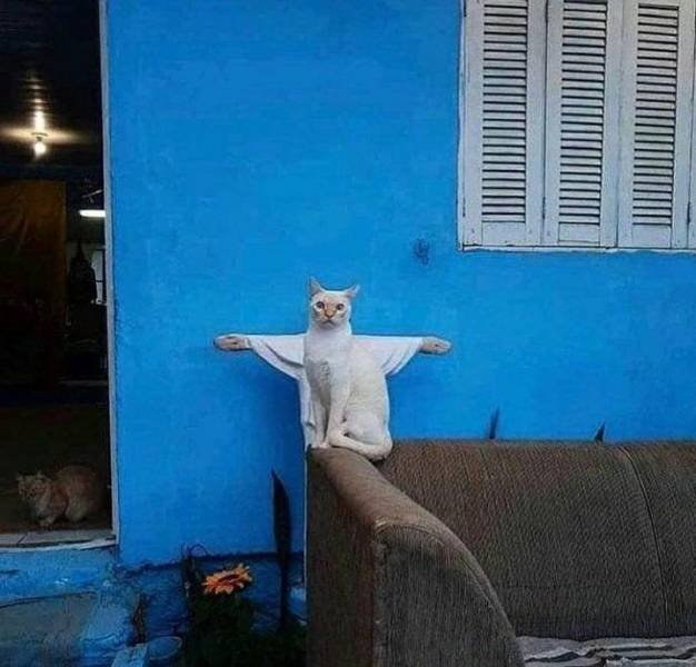 Acid Picdump 2 (90 pics)
