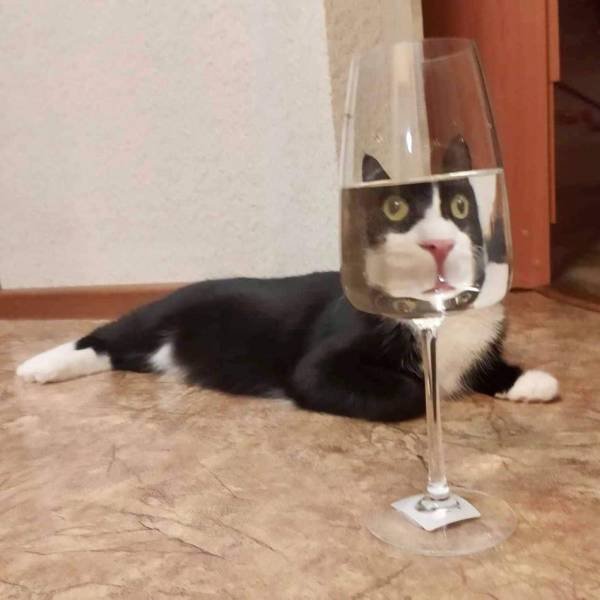 Acid Picdump 2 (90 pics)