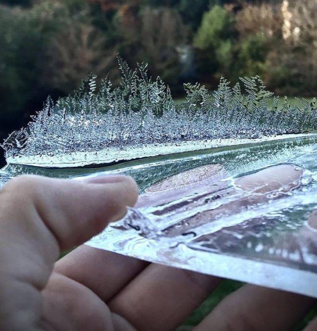 Beautiful Nature (20 pics) Beautiful Nature (20 pics)