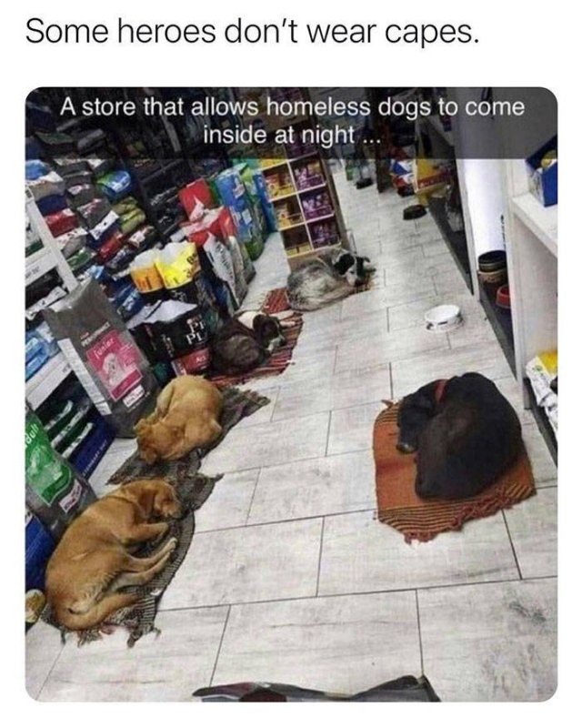 Wholesome Stories (63 pics)