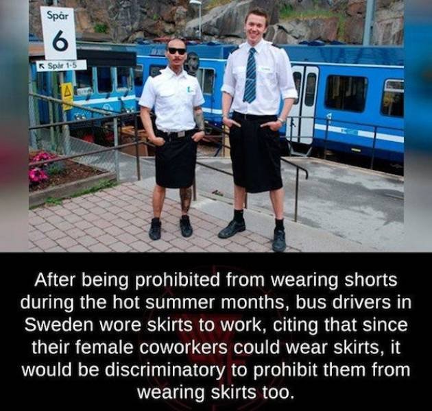 Wholesome Stories (63 pics)