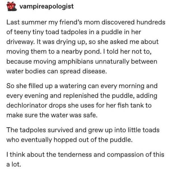 Wholesome Stories (63 pics)
