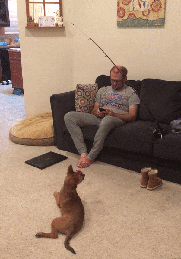 Everything You Should Know About Men (17 pics)